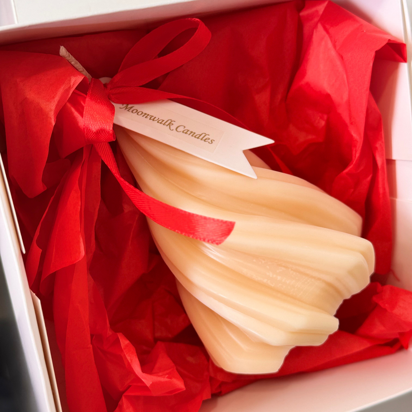 The Black Box - Limited Edition